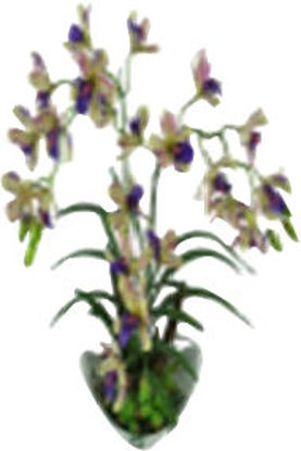 Immagine di Ciotola orchidea h.cm.50                                                                                                                                                                                                                                                                                                                                                                                                                                                                                            