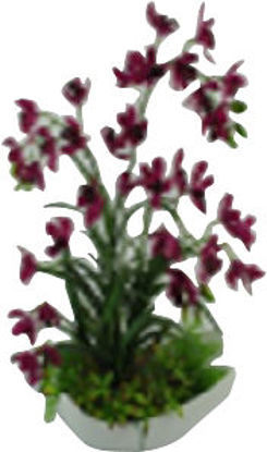 Immagine di Ciotola orchidea h.cm.65                                                                                                                                                                                                                                                                                                                                                                                                                                                                                            