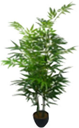Immagine di Pianta bamboo in vaso h.cm.145                                                                                                                                                                                                                                                                                                                                                                                                                                                                                      