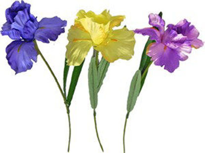 Immagine di Iris viola cm.72                                                                                                                                                                                                                                                                                                                                                                                                                                                                                                    